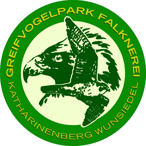 Falknerei mit Greifvogelpark am Katharinenberg